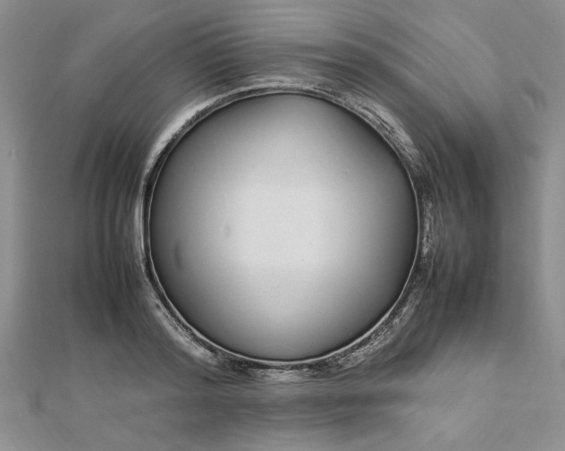 X0000112790796200909041411