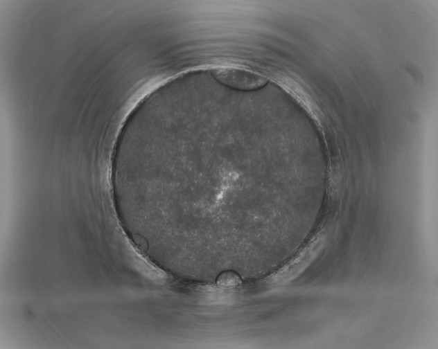 X0000112790797200909041411