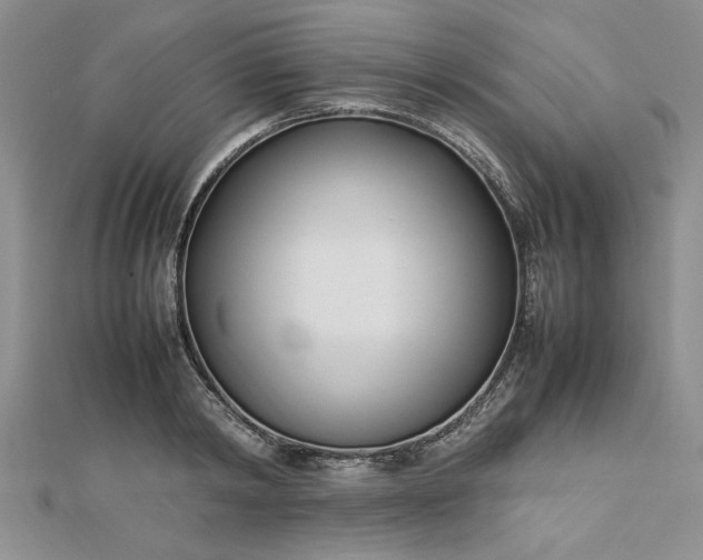 X0000112790798200909041411