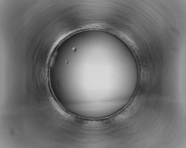 X0000112790800200909041411