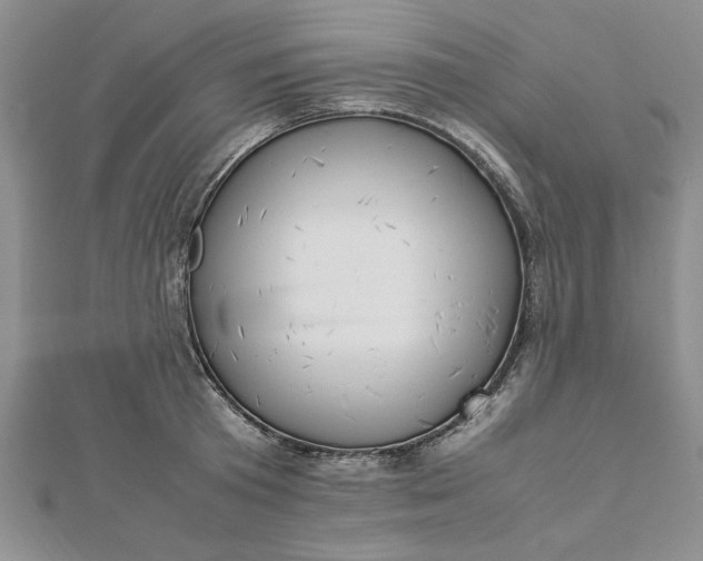 X0000112790801200909041411