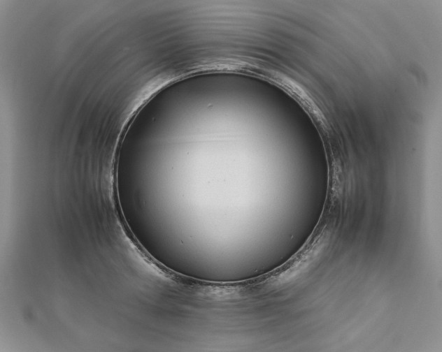 X0000112790802200909041411