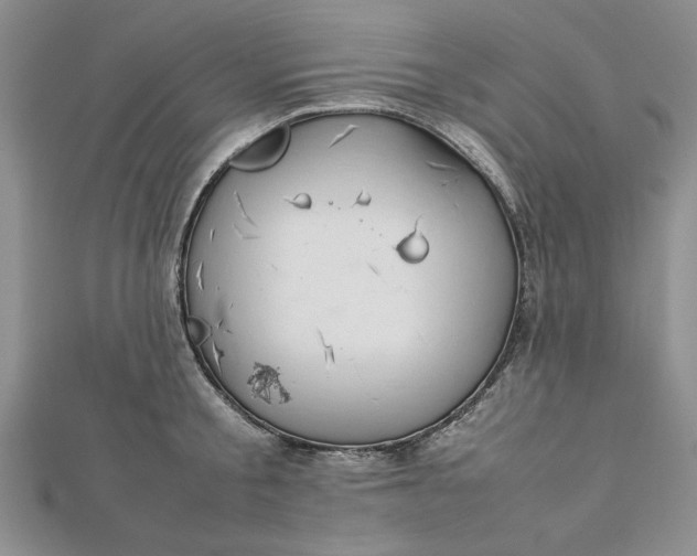 X0000112790805200909041411