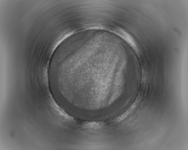 X0000112790806200909041411