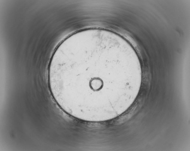 X0000112790807200909041411