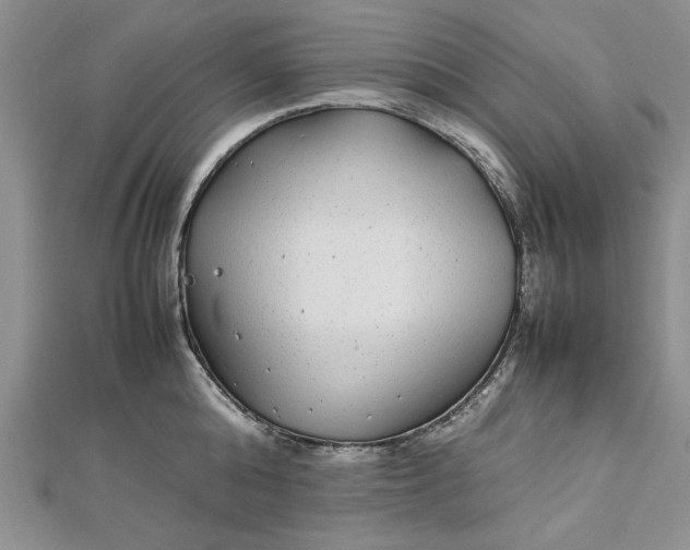 X0000112790808200909041411