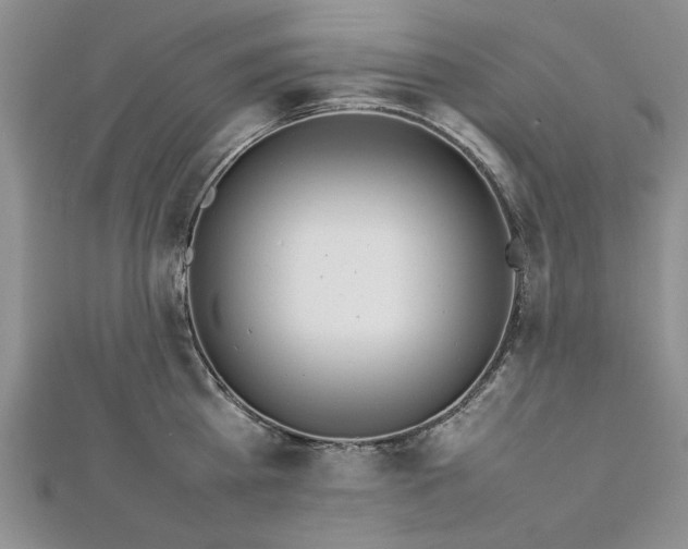 X0000112790809200909041411