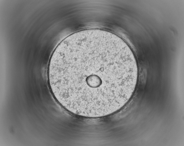 X0000112790810200909041411