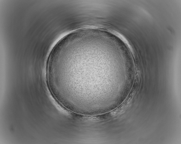 X0000112790811200909041411