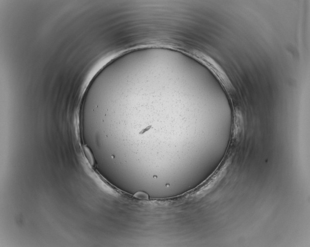 X0000112790812200909041411