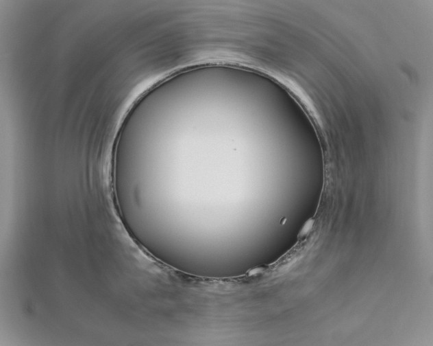 X0000112790815200909041411