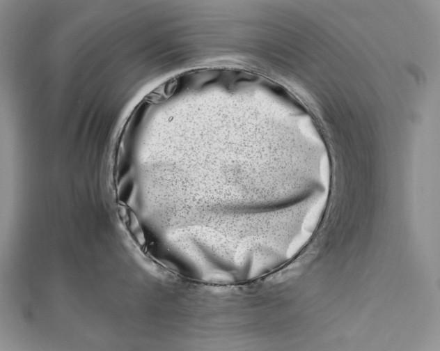 X0000112790816200909041411