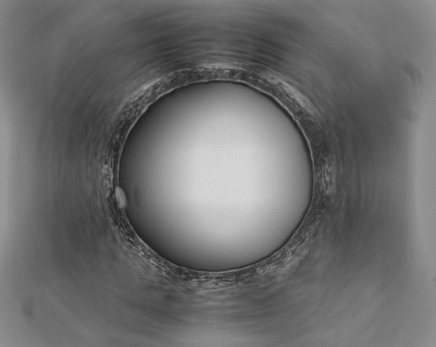 X0000112790821200909041410