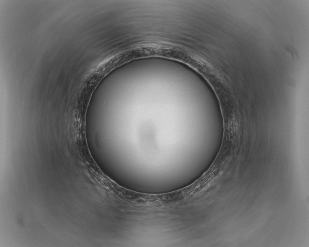 X0000112790822200909041410