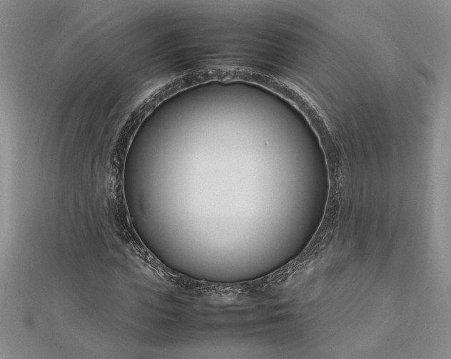 X0000112790823200909041410