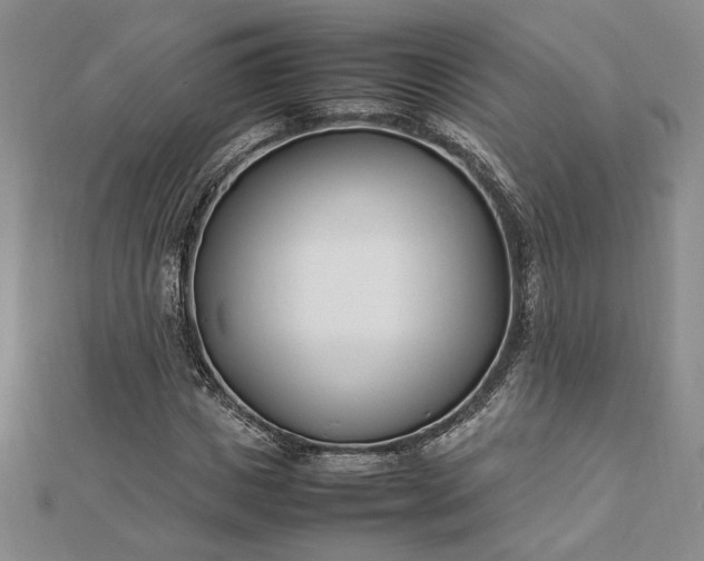 X0000112790825200909041410