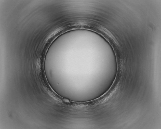 X0000112790826200909041410