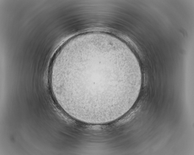 X0000112790828200909041410