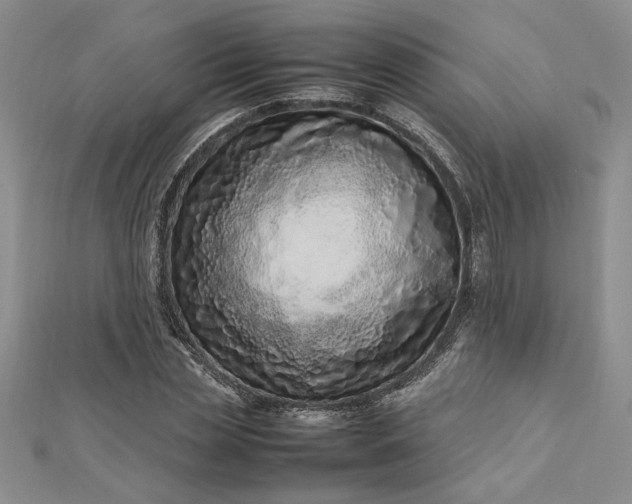 X0000112790829200909041410