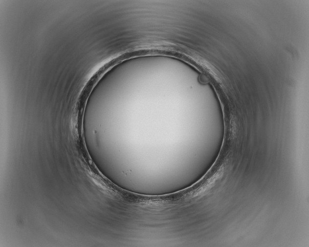 X0000112790830200909041410