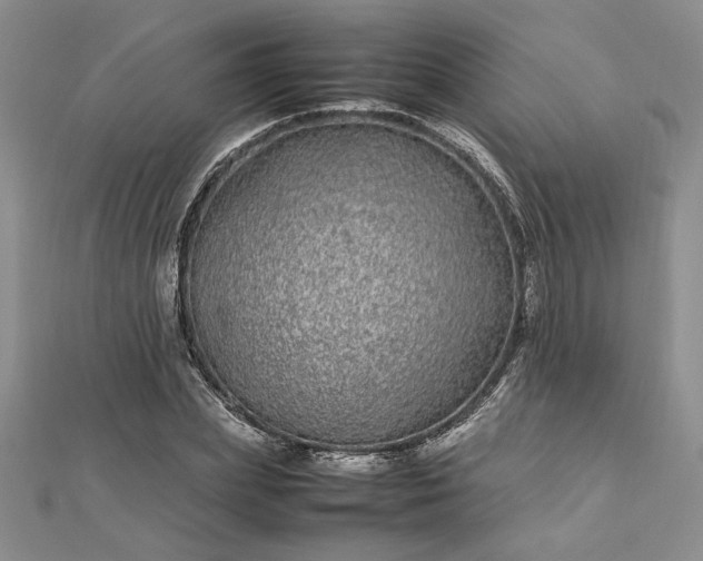 X0000112790831200909041410