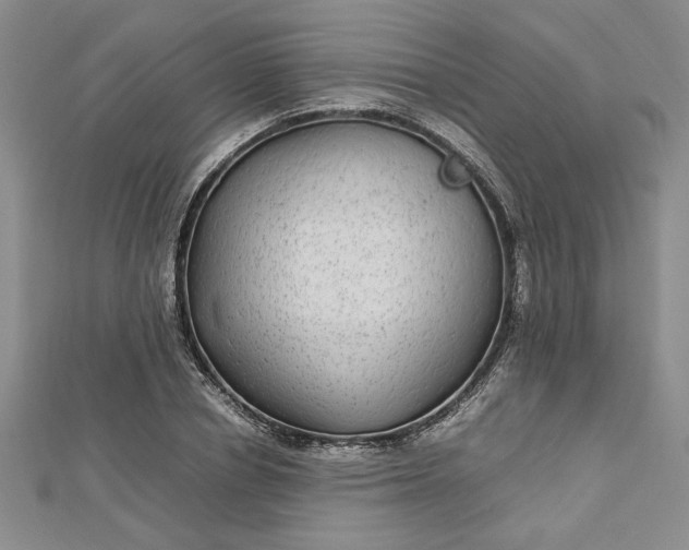 X0000112790834200909041410