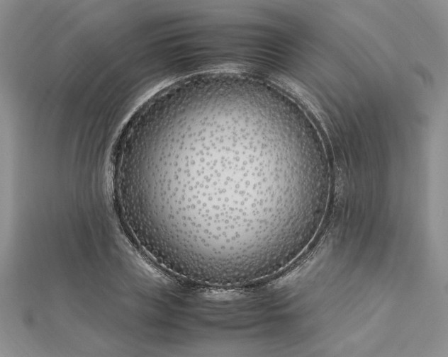 X0000112790835200909041410