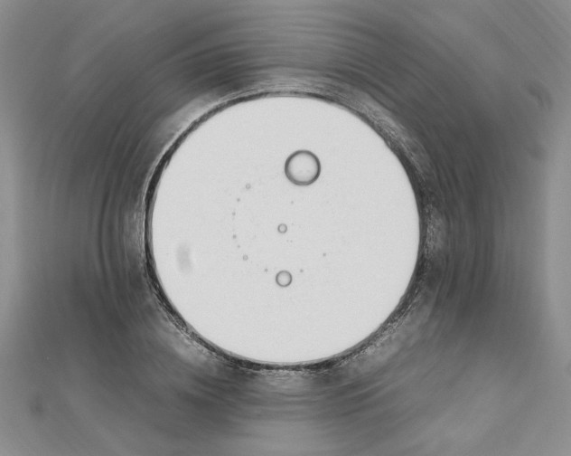 X0000112790836200909041410