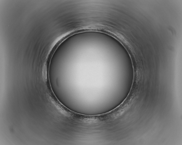 X0000112790838200909041410