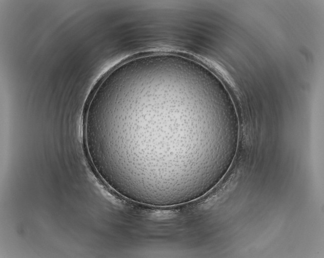 X0000112790839200909041410