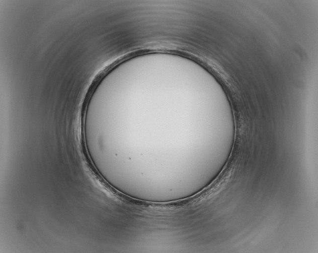 X0000112790840200909041410