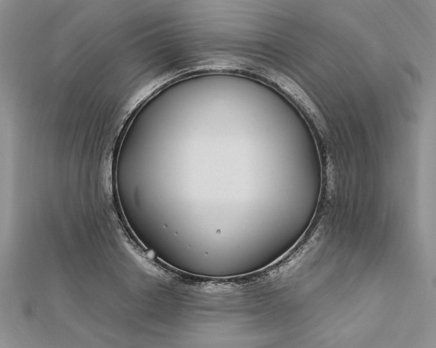 X0000112790842200909041410