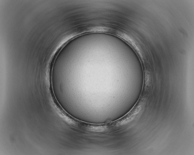 X0000112790843200909041410