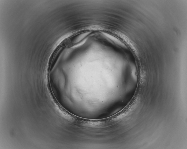 X0000112790845200909041410