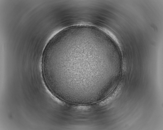 X0000112790847200909041410