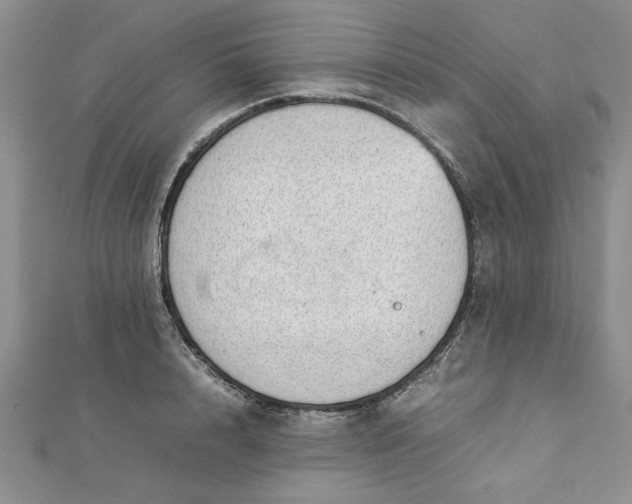 X0000112790848200909041410