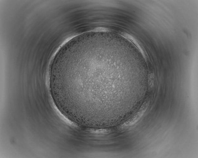 X0000112790851200909041410