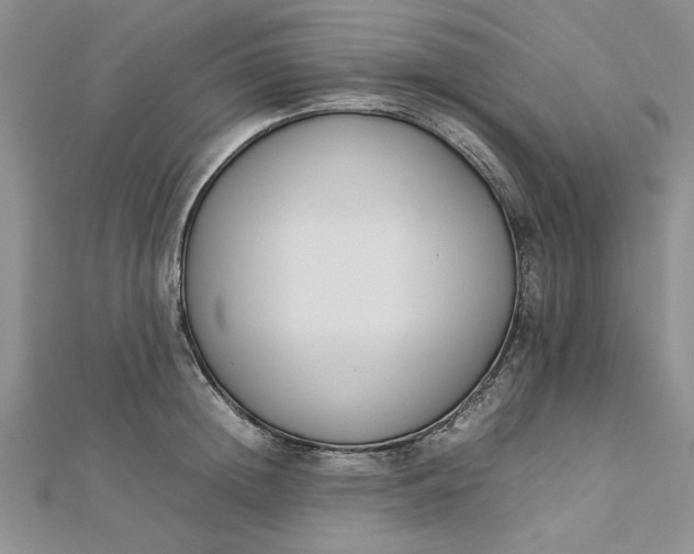 X0000112790852200909041410