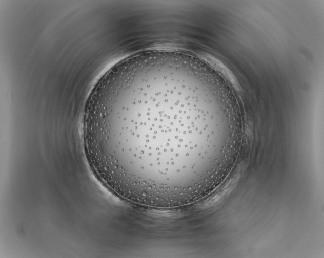 X0000112790855200909041410