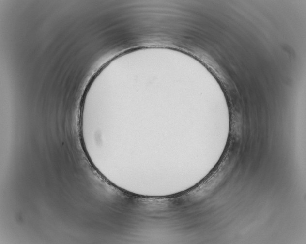 X0000112790856200909041410