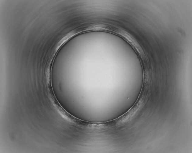 X0000112790858200909041411