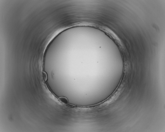 X0000112790860200909041411