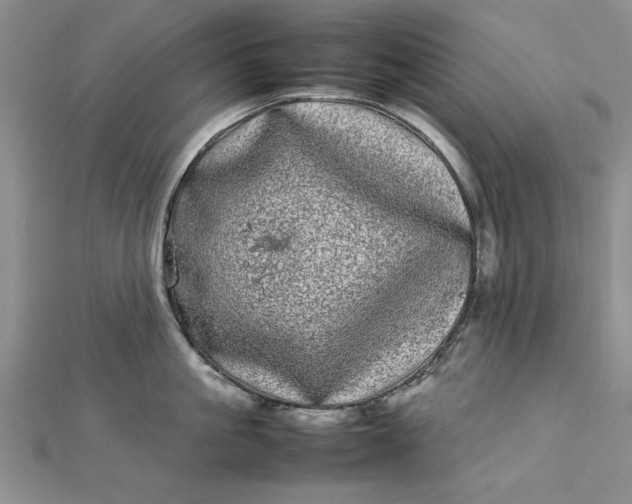 X0000112790861200909041411