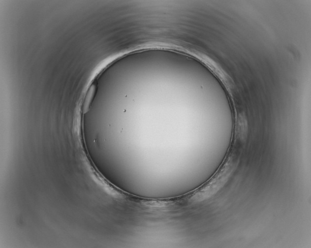 X0000112790862200909041411