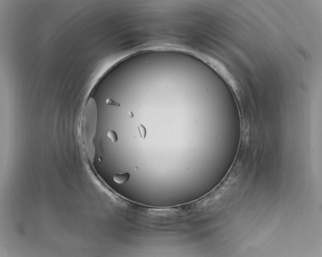 X0000112790863200909041411