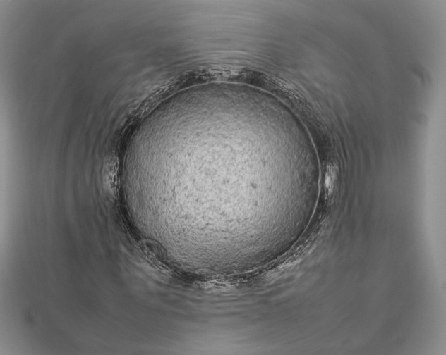 X0000112790867200909041410