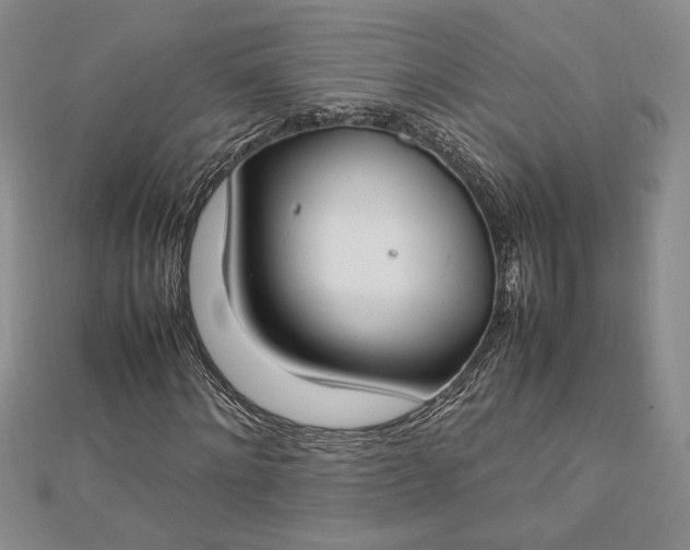 X0000112790868200909041410