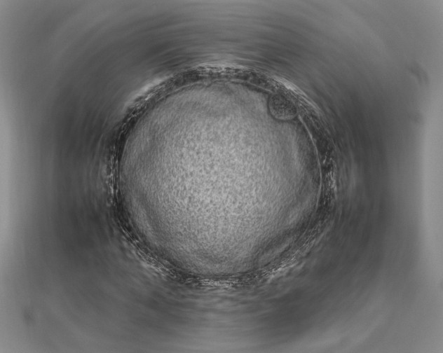 X0000112790870200909041410