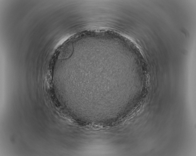 X0000112790871200909041410