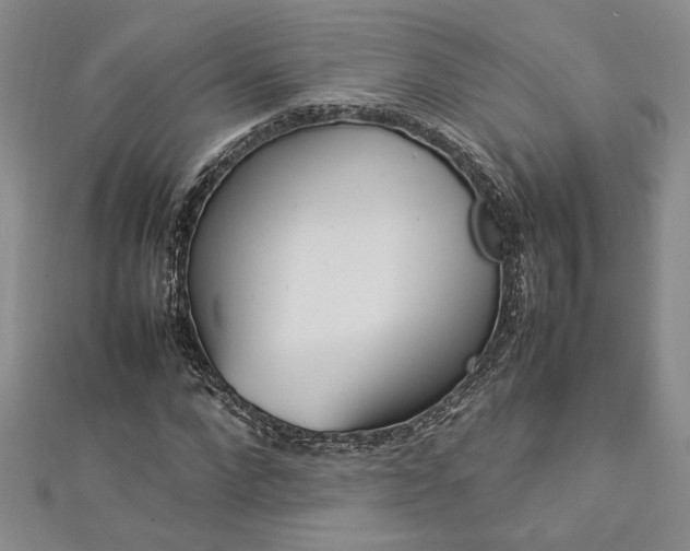 X0000112790872200909041410